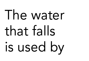 The water that falls is used by 