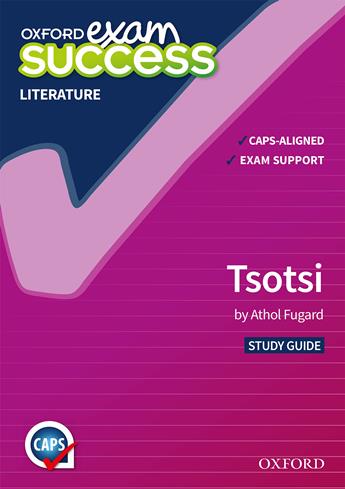 tsotsi essay questions and answers