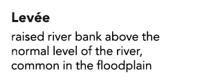 Levée raised river bank above the normal level of the river, common in the floodplain
