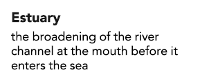 Estuary the broadening of the river channel at the mouth before it enters the sea