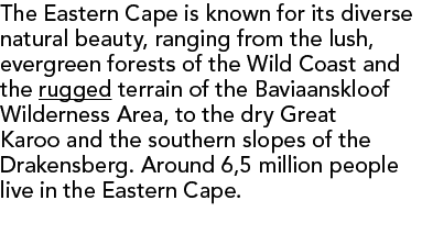 The Eastern Cape is known for its diverse natural beauty, ranging from the lush, evergreen forests of the Wild Coast ...