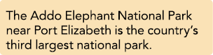 The Addo Elephant National Park near Port Elizabeth is the country’s third largest national park.